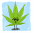 Cannabis38